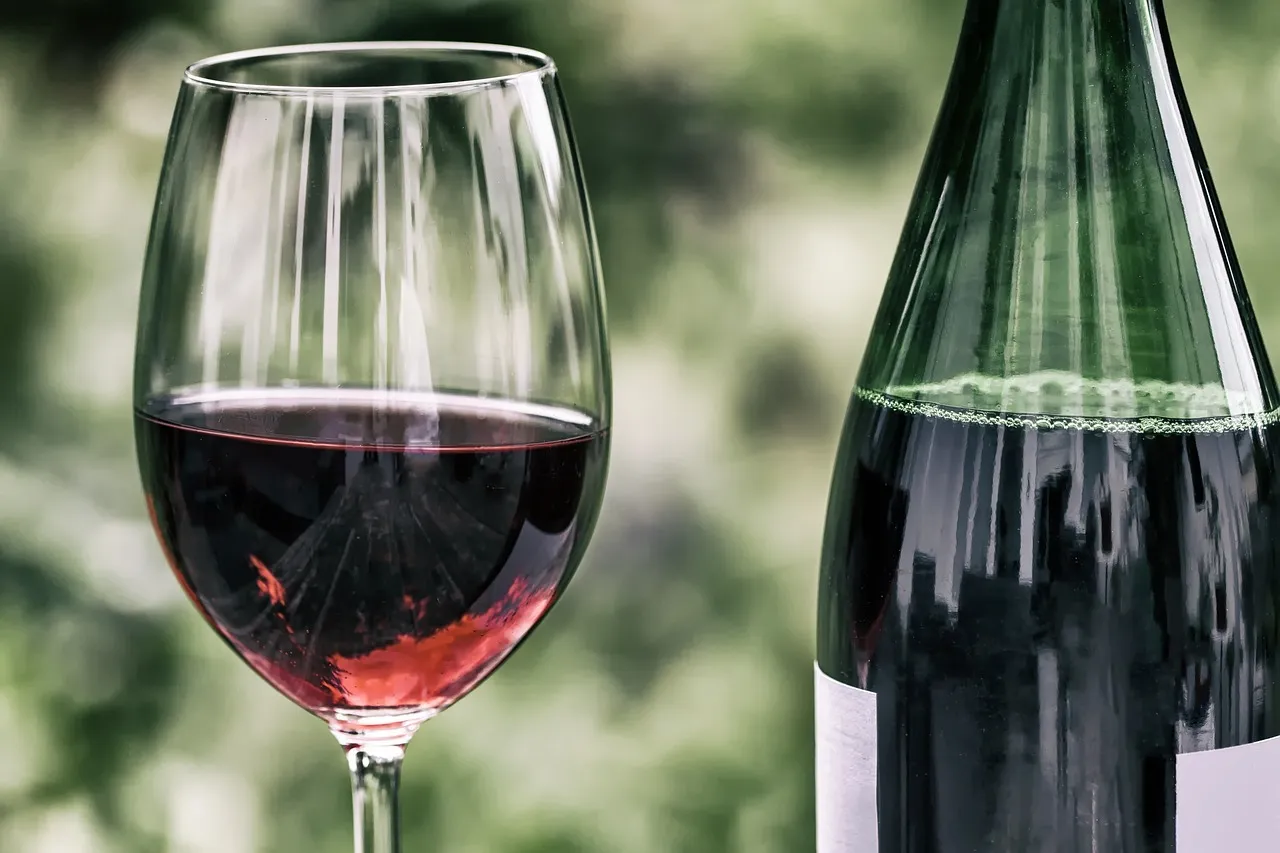 Vignes